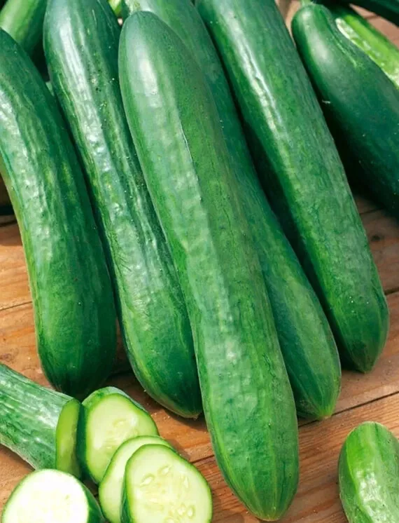 25 Seeds Tiffany Cucumbers Edible Canning Pickling Gardening Fresh USA S... - $12.50