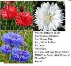 Cornflower Bachelor Button Red White Blue Mix July 4Th 450 Seeds USA Fast Shippi - £11.24 GBP