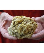 (k-360) 260 g Rare Kauri tree Gum copal young Amber New Zealand Tane Mahuta - $298.83 CAD