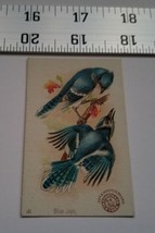 Home Treasure Arm &amp; Hammer Blue Jays Victorian Trade Card #41 Advertisment Ad - £11.35 GBP