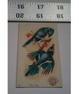 Home Treasure Arm &amp; Hammer Blue Jays Victorian Trade Card #41 Advertisme... - $269.08 MXN