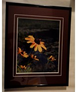 Beautiful black eyed susan 8x10 photo matted and framed in an 11x14 frame - $88.51 CAD