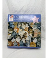 Just Cats Helen Vladykina Over 1000 Pieces Jigsaw Puzzle Complete  - $14.85