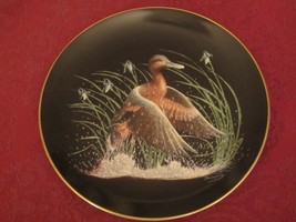 Cinnamon Teal Collector Plate Tommy Humphrey Bradford Exchange Water Birds Ducks - £10.35 GBP