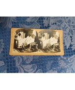 Stereocard Steroeview American Stereoscopic Company He Rules Roost 1900 ... - $13.59 CAD
