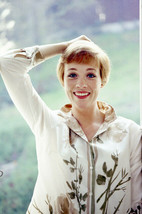 Julie Andrews smiling vintage portrait 1960&#39;s 24x36 Poster - £23.04 GBP