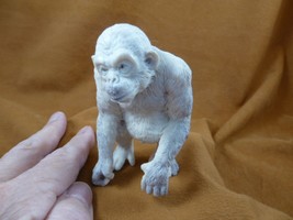 (mon-w3) white Chimpanzee monkey of shed ANTLER figurine Bali detailed Pogo - $417.93