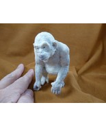 (mon-w3) white Chimpanzee monkey of shed ANTLER figurine Bali detailed Pogo - $7,824.30 MXN