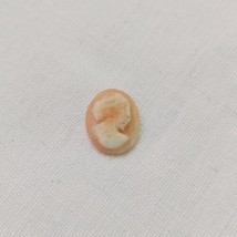 Antique Vintage Miniature Carved Shell Cameo Unset Loose Tiny 8mm × 11mm - $15.79