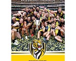 AFL Premiers 2019 Season Highlights DVD | Region Free - £14.84 GBP