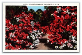 Azaleas in Middleton Gardens Charleston SC V-Mail Linen Postcard J19 - £3.62 GBP