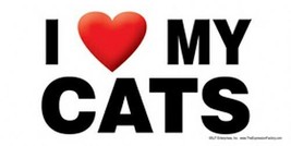 I (Heart) Love my CAT Cute Car Fridge Large Magnet 4x8 Waterproof Fast F... - $6.76