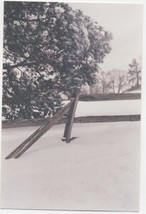 &quot;The Winter Backdrop&quot; - Color Film Print - Landscape Photography - $19.99