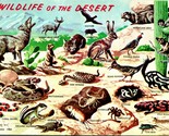 Vtg Chrome Postcard 1958 Wildlife fo the Desert Wildlife Petley Studios ... - $3.91