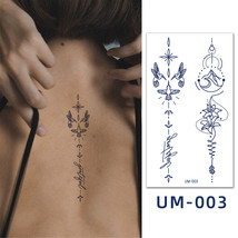 Juice Tattoo Stickers Body Art Temporary Tattoos Waterproof Decorative T... - $8.99