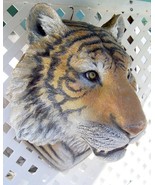 Lifesized Tiger Head wall sculpture - $618.04 CAD