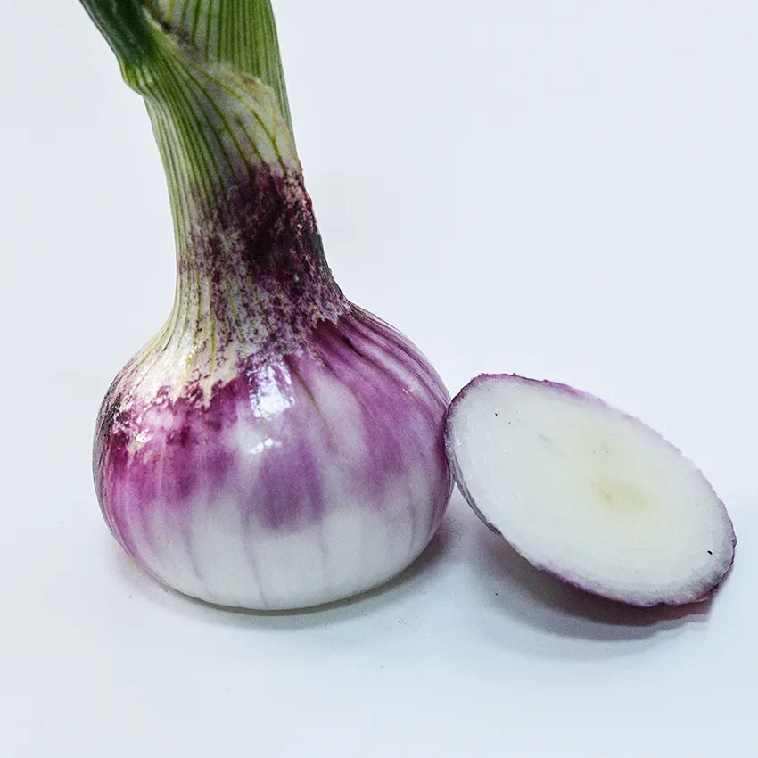 Onion Round Tropea, 300 Seeds R - £11.47 GBP