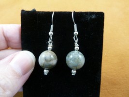 DP1-18m 12 Mm Real Dinosaur Poop Bead Earrings Dangle Utah Dino Coprolite Fossil - £14.15 GBP