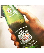 1966 Canada Dry Ginger Ale Advertisement Vintage Pop Soda Beverage DWII31 - $41.01 CAD