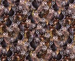 Cotton Wild Wonder Owls Birds Animals Brown Fabric Print by Yard D482.60 - $15.95