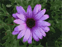 pepita Lilac Flower Needlepoint Canvas - $93.00+