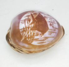 Hand etched Oriental Asian Cowrie Tiger Shell Tropical Angelfish sea lif... - £22.25 GBP