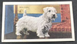 VTG 1936 Gallaher Dogs Sealyham Terrier #35 of 48 Tobacco Card - $6.79