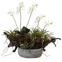 Orchid &amp; Succulent Garden With Driftwood &amp; Decorative Vase - £171.26 GBP