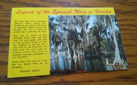 VTG Florida Spanish Moss Unused Postcard - £7.02 GBP