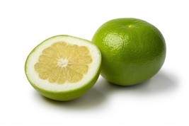 Fresh 5 Oro Blanco Grapefruit Seeds for Garden - €6,88 EUR