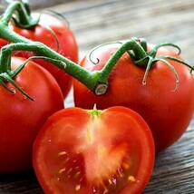 50+ Seeds Ultra Sweet Tomato Tomatoe Vegetable Garden Edible Canning From US - $8.94