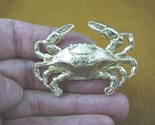(b-crab-1) Blue crab love sea crabs ocean BRASS pin brooch pendant CRUST... - $17.75