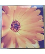 Yellow Chrysanthemum Art Print Glass Print Poster Wall Art Home Decor 10... - $15.70