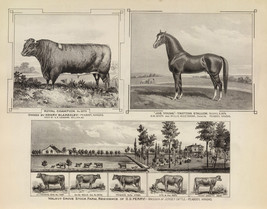 12250.Decor Poster.Vintage Interior wall art design.Farm Champion animals.Horses - £13.45 GBP+