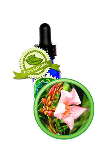Davana Essential Oil - 100% Pure Artemisia pallens - 30ml (1oz)