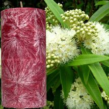 Australian Lemon Myrtle Scented Palm Wax Pillar Candle - £19.75 GBP+