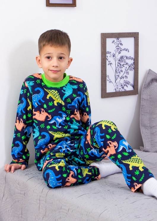 Pajama Set (boys), Any season,  Nosi svoe 6076-002-4 (dino-chornylno-synij) - $27.63+