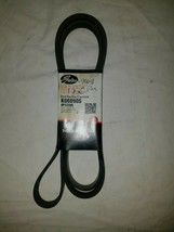 Serpentine Belt-Premium OE Micro-V Belt Gates K060905 - $20.00