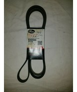 Serpentine Belt-Premium OE Micro-V Belt Gates K060905 - €17,49 EUR
