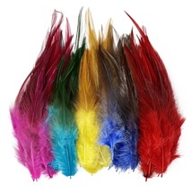 200Pcs Saddle Hackle Rooster Feather For Crafts, 5-7 Inch Natural Pheasa... - £15.95 GBP