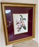 S Holden del &amp; Lith ca 1840s Hand Colored S Holden del &amp; Lith ca 1840s F... - $95.31 CAD
