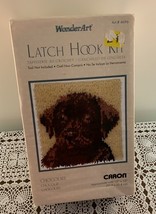 Caron Wonder Art Latch Hook Rug Kit 4696  Chocolate Lab Dog Pillow 12 x 12 Inch - £9.57 GBP