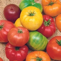 Rainbow Beefsteak Mix Tomato Seeds Open Pollinated Container Vegetable N... - $12.73