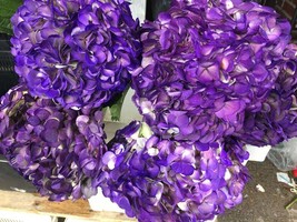 amazing beautiful 3 purple hydrangeas,Preserved Dyed Hydrangea,wedding arrangeme - $54.99