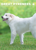 Great Pyrenees Calendar 2026 - $19.99