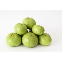 Gourd Tinda 15+ Heirloom Seeds Asian Garden Vegetable 100% Organic Grown... - £3.92 GBP