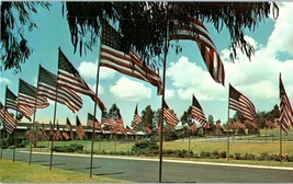 600 American Flags at Green Hills Memorial Park San Pedro California Postcard - £6.29 GBP