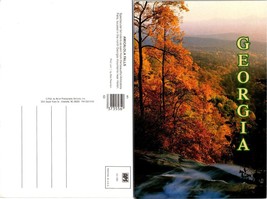 Georgia Dawsonville Amicalola Falls Autumn Season Orange Leaves VTG Postcard - £7.56 GBP