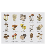 Mushroom Species Types Poster A3 42x29cm BLPA3P54 Fungi Fungus Cup Photo... - $17.58 CAD