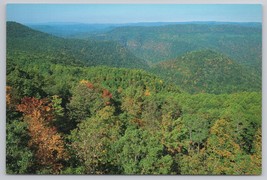 Pipestem Resort State Park Bluestone River Canyon Pipestem Virginia Postcard - $14.45